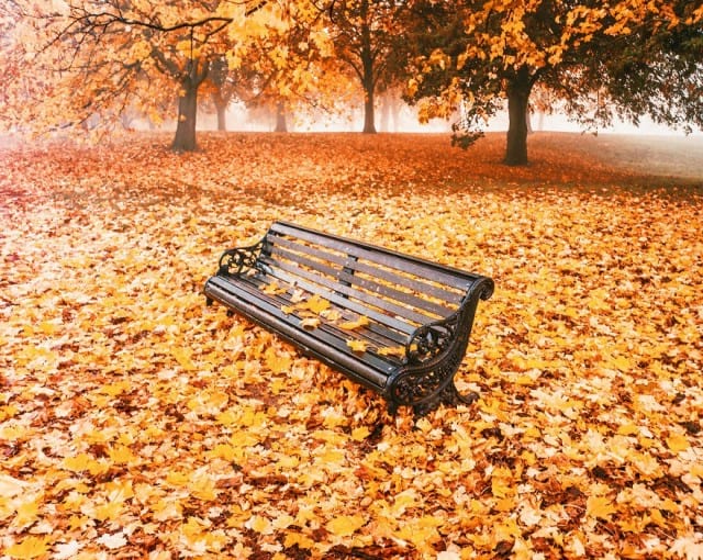 t پاییز هزار رنگ در کشورهای اروپایی